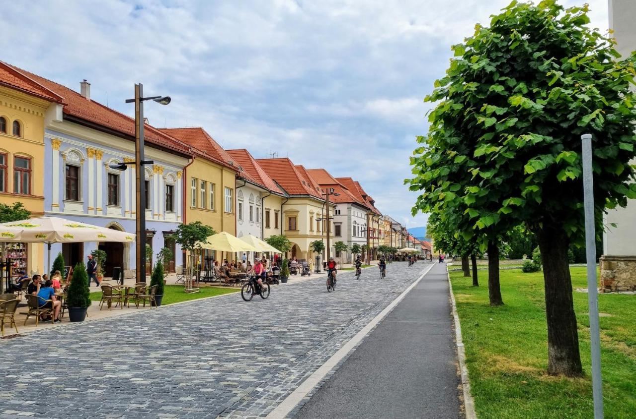 Apartment In A Historical House In The Center Of Levoča Buitenkant foto