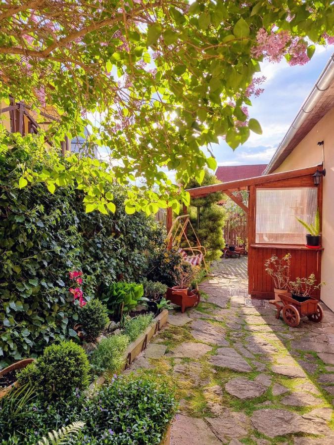 Apartment In A Historical House In The Center Of Levoča Buitenkant foto